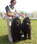 Превью фото № 32110