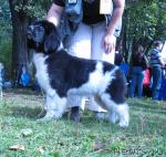 Превью фото № 32113