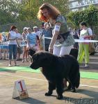 Превью фото № 32183