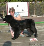 Превью фото № 32186