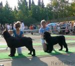 Превью фото № 32187