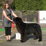 Превью фото № 32191