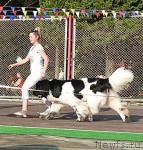 Превью фото № 32201