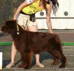 Превью фото № 32205