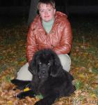 Превью фото № 32258