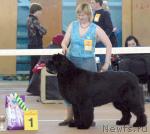 Превью фото № 3240