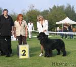 Превью фото № 32408