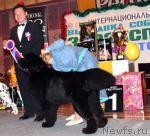 Превью фото № 3241