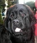 Превью фото № 32416