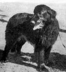 Превью фото № 325