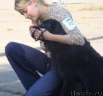 Превью фото № 32510