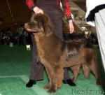 Превью фото № 32535