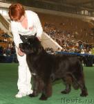 Превью фото № 32541