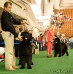 Превью фото № 32546