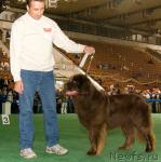 Превью фото № 32551