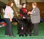 Превью фото № 32561