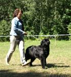 Превью фото № 32858