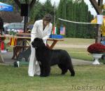 Превью фото № 32918