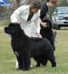 Превью фото № 32964