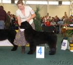 Превью фото № 32972