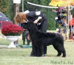 Превью фото № 32980