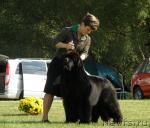 Превью фото № 32988