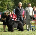 Превью фото № 32991