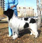 Превью фото № 33221