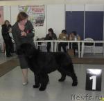 Превью фото № 33256