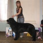 Превью фото № 3326