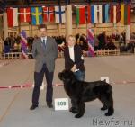 Превью фото № 33660