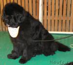 Превью фото № 3380