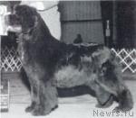 Превью фото № 33963