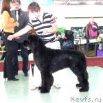 Превью фото № 33976