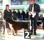 Превью фото № 33981