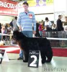 Превью фото № 33983