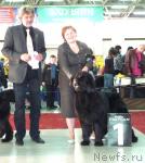 Превью фото № 33986