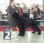 Превью фото № 33987