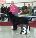 Превью фото № 33988