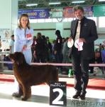 Превью фото № 33991