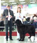 Превью фото № 33995