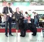 Превью фото № 33997