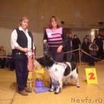 Превью фото № 34053