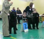 Превью фото № 34067