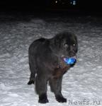 Превью фото № 34088