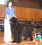 Превью фото № 3429