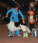 Превью фото № 34389