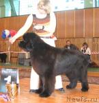 Превью фото № 3444