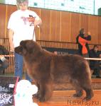 Превью фото № 3448