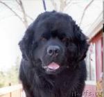 Превью фото № 34553